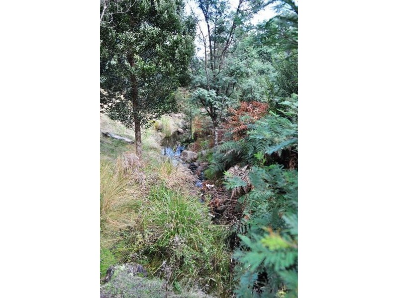 Wallis Road, Judbury TAS 7109