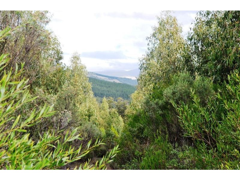 Wallis Road, Judbury TAS 7109
