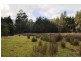 Wallis Road, Judbury TAS 7109