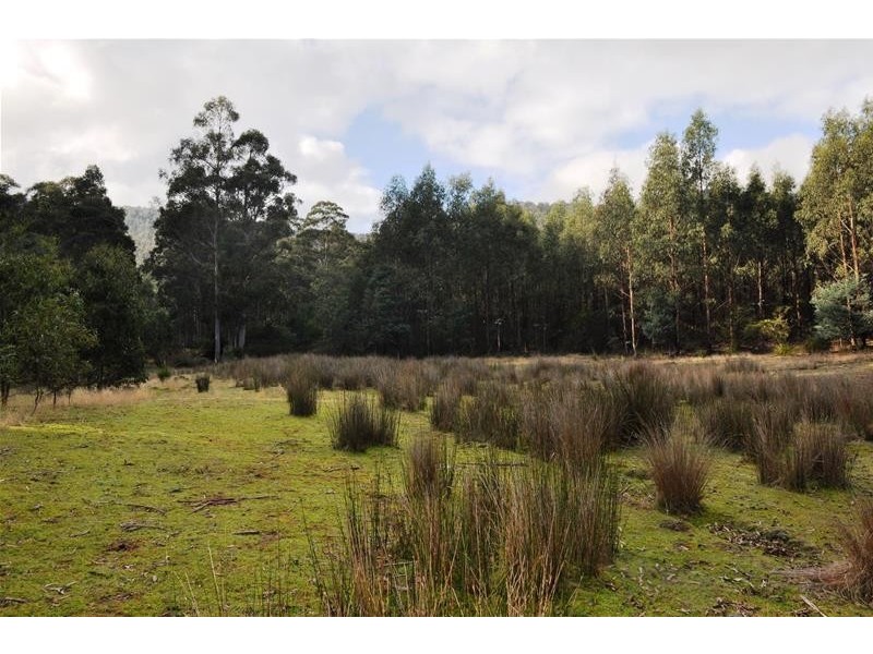 Wallis Road, Judbury TAS 7109