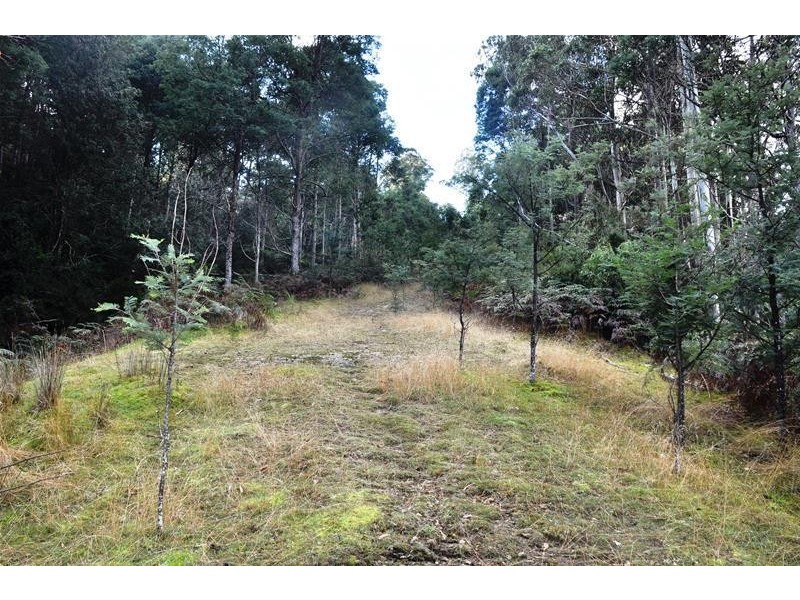 Wallis Road, Judbury TAS 7109