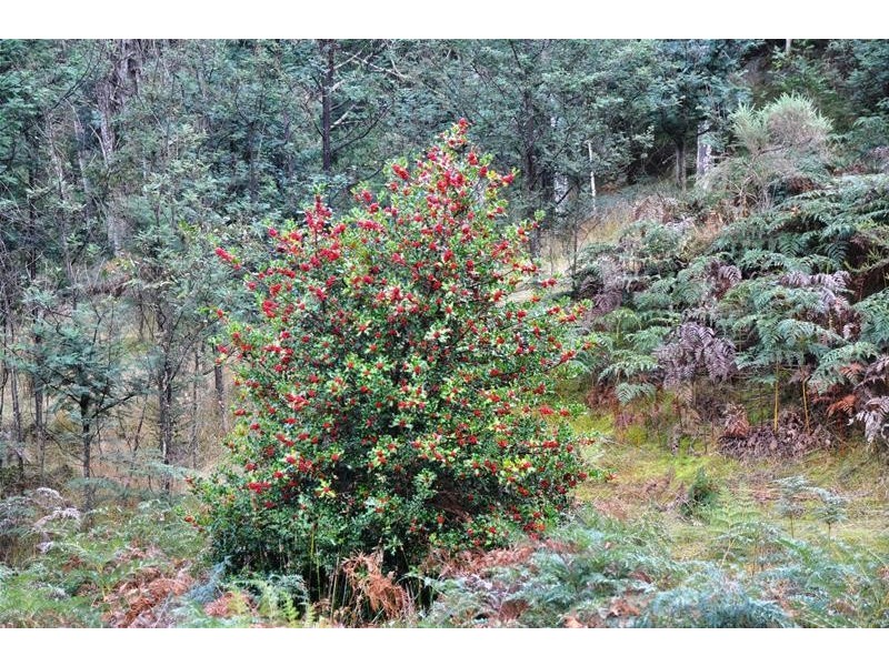 Wallis Road, Judbury TAS 7109