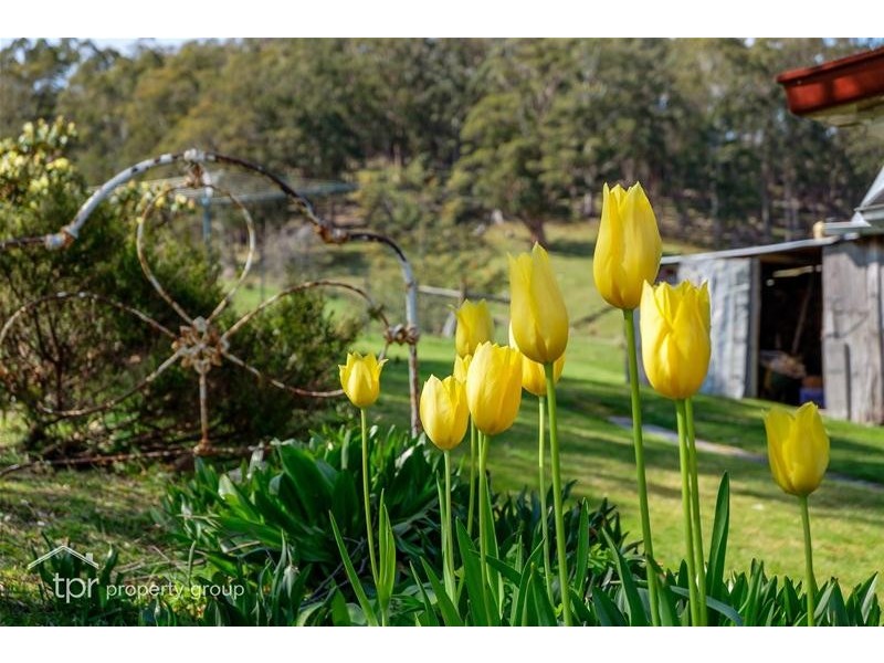 5107 Huon Highway, Geeveston TAS 7116