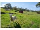 5107 Huon Highway, Geeveston TAS 7116