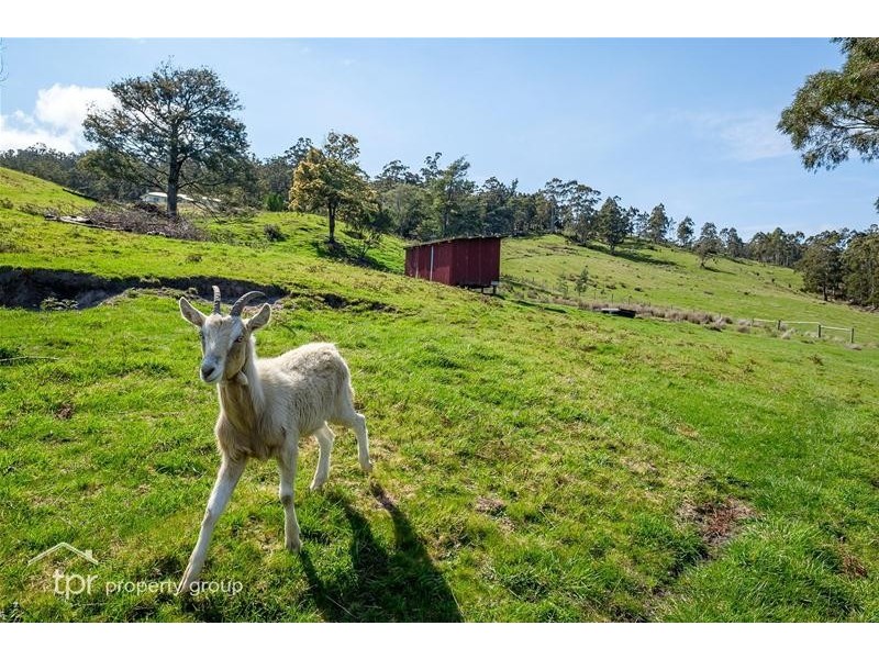 5107 Huon Highway, Geeveston TAS 7116