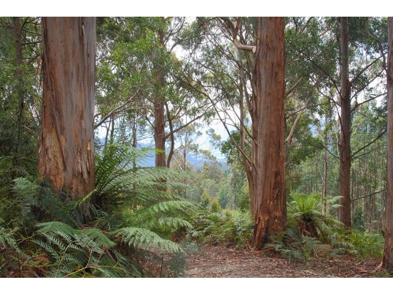 Lot/1 Hills Road, Franklin TAS 7113