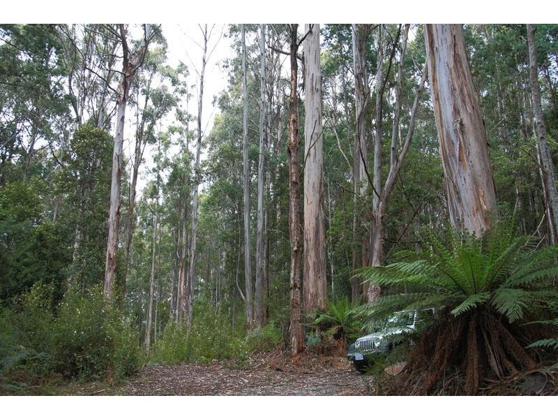 Lot/1 Hills Road, Franklin TAS 7113