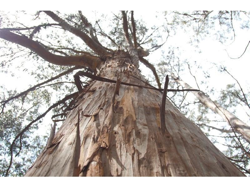 Lot/1 Hills Road, Franklin TAS 7113