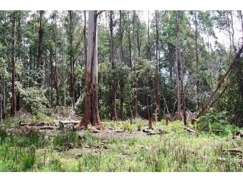 Lot/1 Hills Road, Franklin TAS 7113