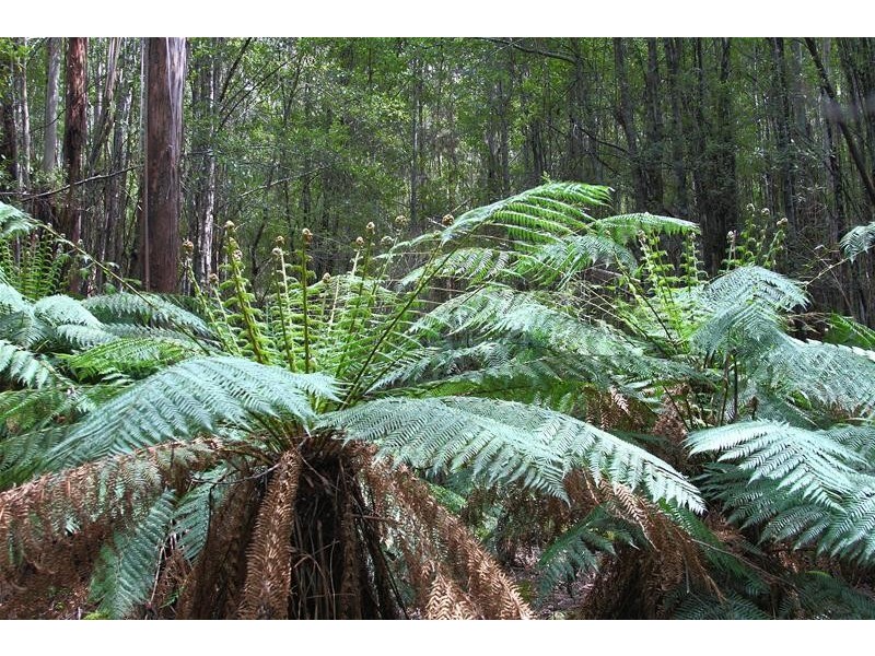 Lot/1 Hills Road, Franklin TAS 7113