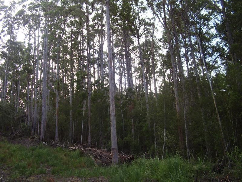 2 Hastings Esplanade, Hastings TAS 7109