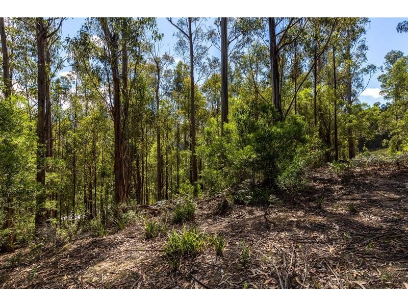 905 Halls Track Road, Pelverata TAS 7150