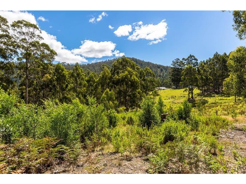 905 Halls Track Road, Pelverata TAS 7150