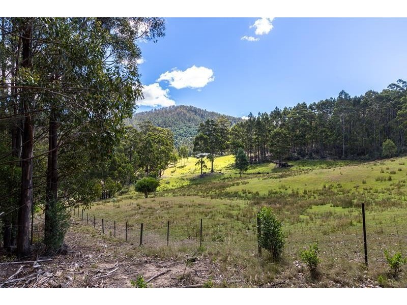 905 Halls Track Road, Pelverata TAS 7150