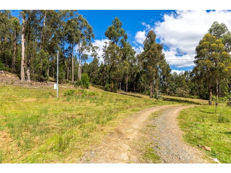 905 Halls Track Road, Pelverata TAS 7150