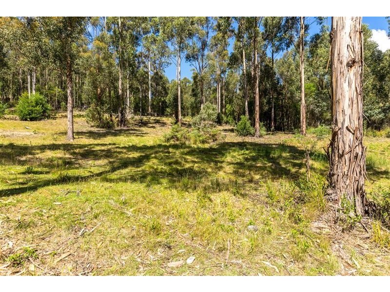 905 Halls Track Road, Pelverata TAS 7150