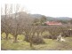 LOT 3 Scotts Road, Geeveston TAS 7116