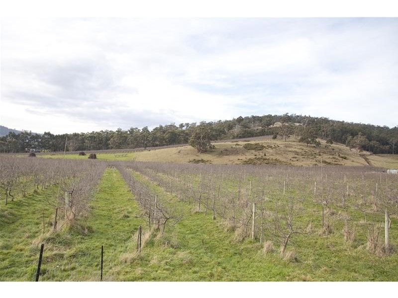 LOT 3 Scotts Road, Geeveston TAS 7116
