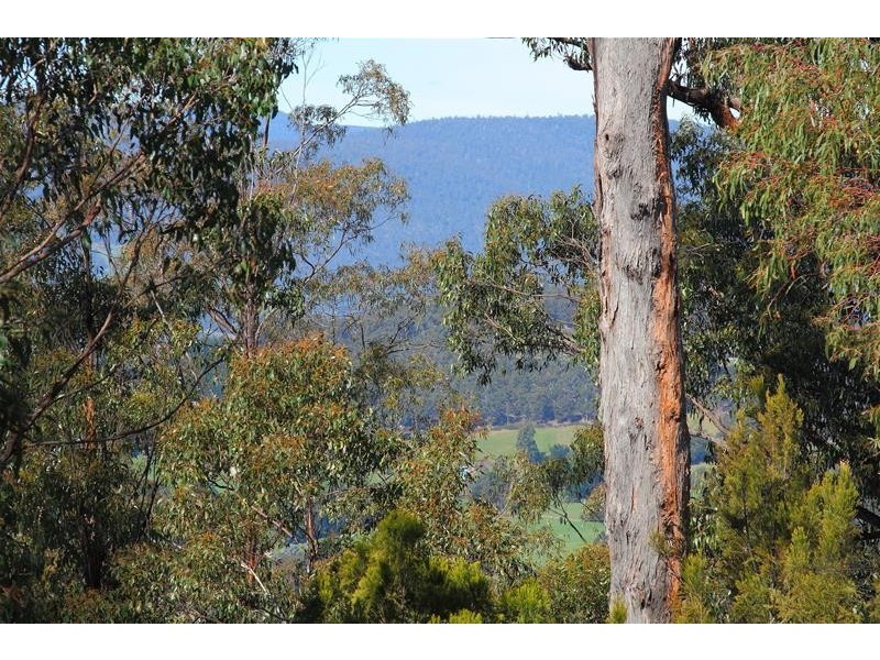 328 Bakers Creek Road, Lucaston TAS 7109