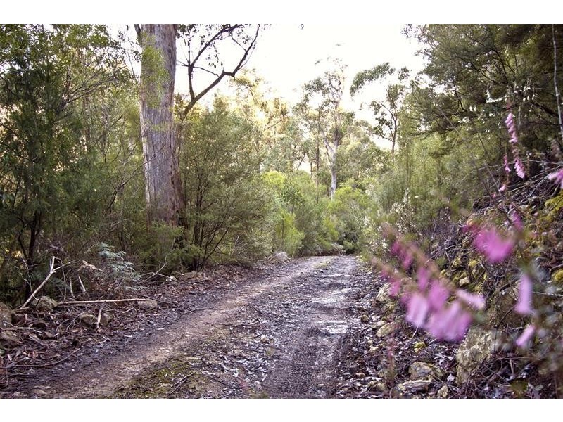 328 Bakers Creek Road, Lucaston TAS 7109