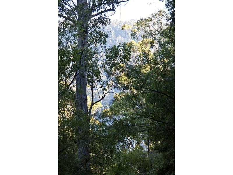 328 Bakers Creek Road, Lucaston TAS 7109