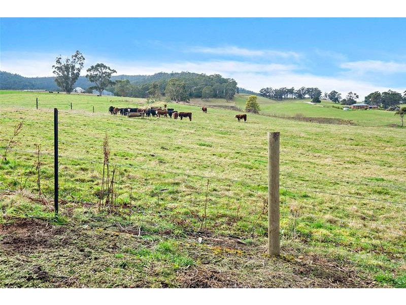 34 Thorp Street, Cygnet TAS 7112