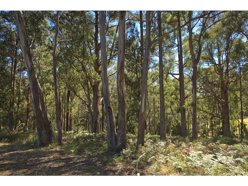 1763 Pelverata Road, Upper Woodstock TAS 7150