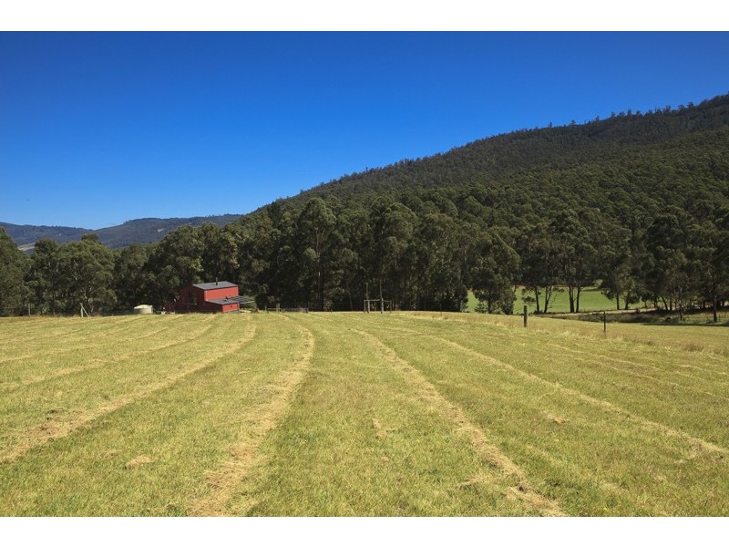 1763 Pelverata Road, Upper Woodstock TAS 7150