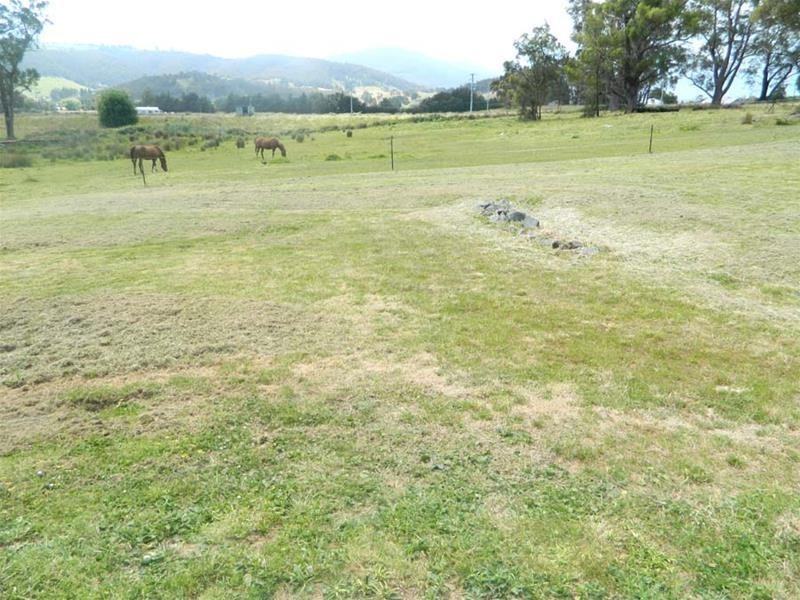 99C Lucaston Link, Lucaston TAS 7109