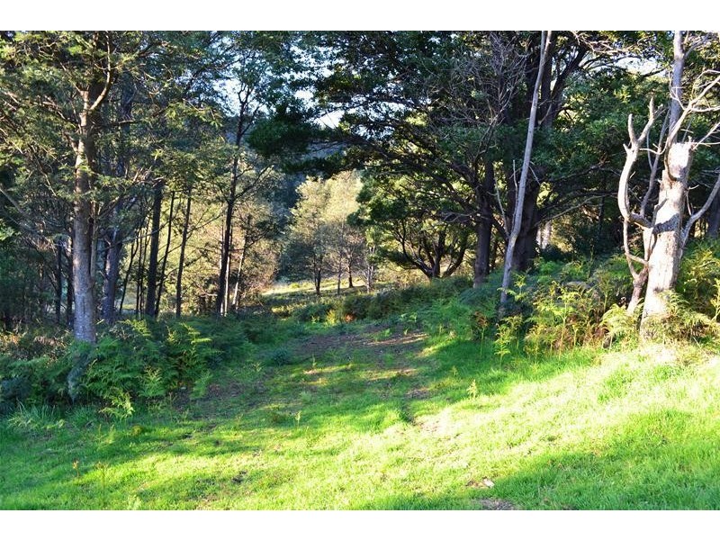 1219 Pelverata Road, Pelverata TAS 7150