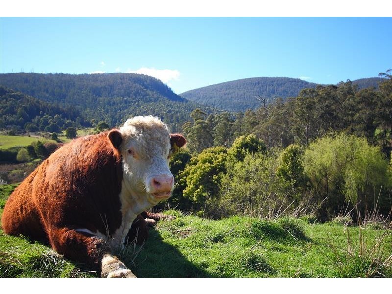 670 Crabtree Road, Crabtree TAS 7109