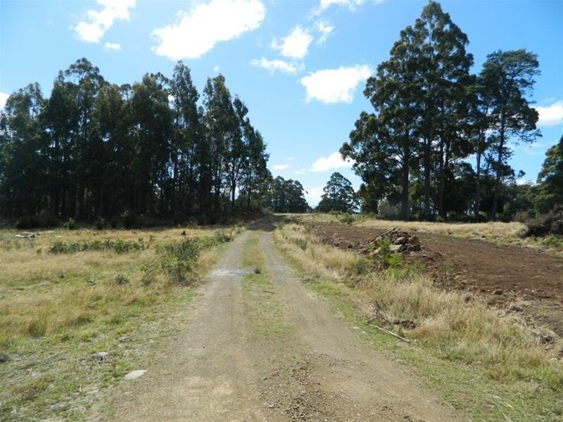 372 Harwoods Road, Castle Forbes Bay TAS 7116