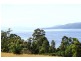 Cygnet Coast Road, Petcheys Bay TAS 7109