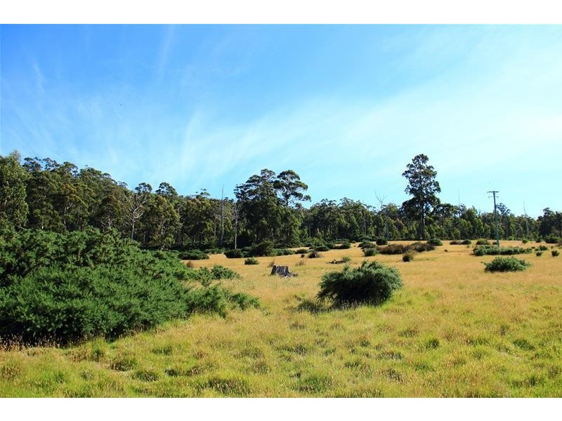 Cygnet Coast Road, Petcheys Bay TAS 7109
