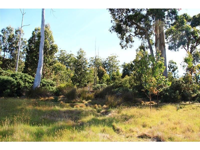 Cygnet Coast Road, Petcheys Bay TAS 7109