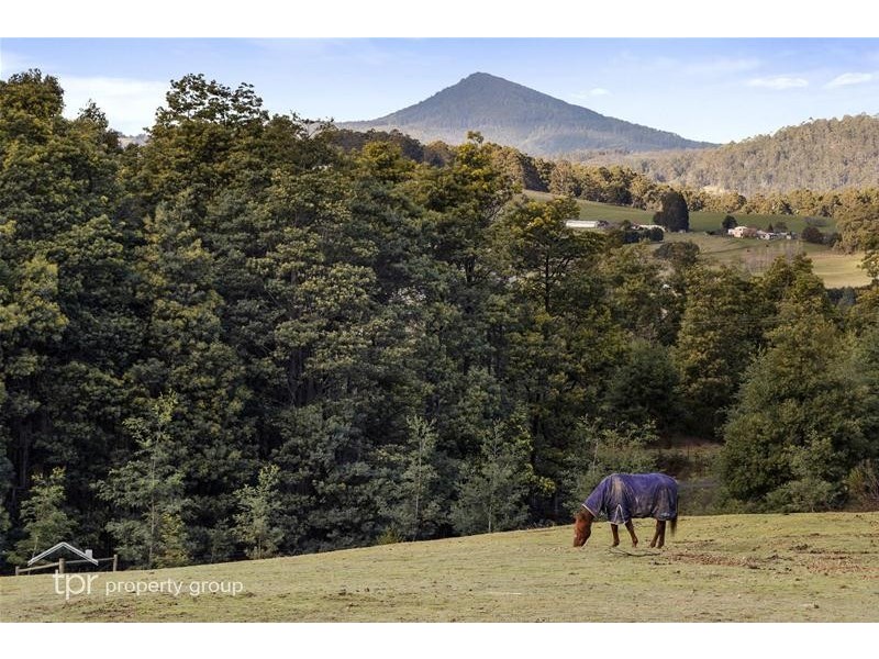 82 Hankin Robertson Road, Geeveston TAS 7116