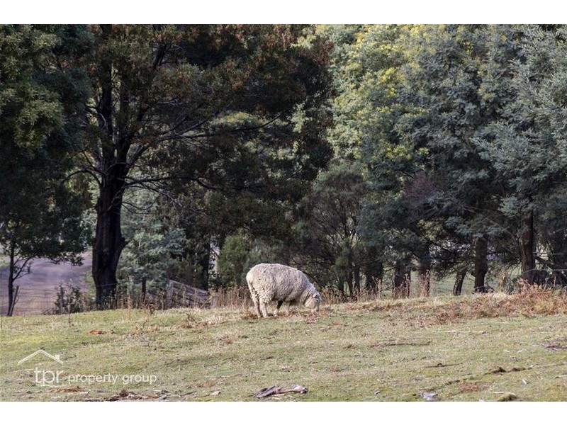 82 Hankin Robertson Road, Geeveston TAS 7116