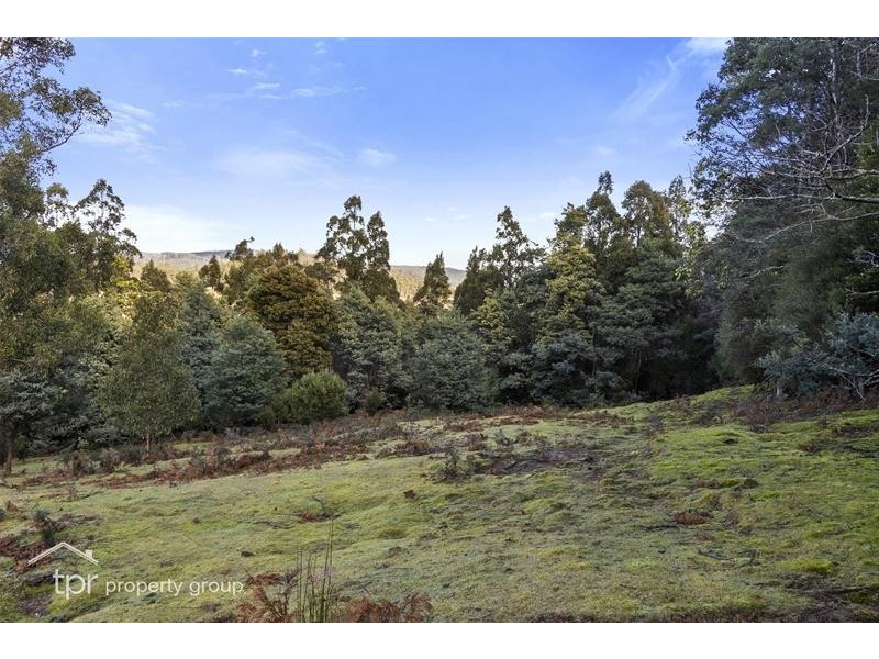 82 Hankin Robertson Road, Geeveston TAS 7116