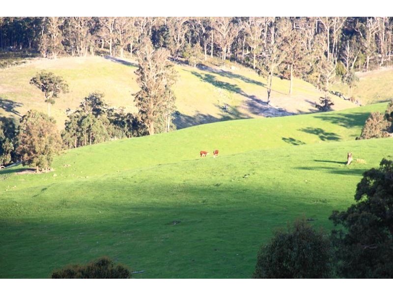 130 Bermuda Road, Glen Huon TAS 7109