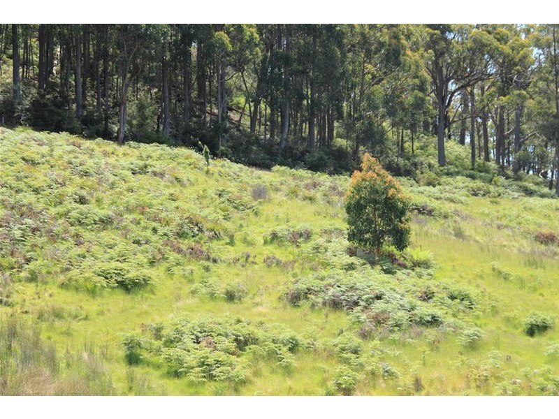 130 Bermuda Road, Glen Huon TAS 7109