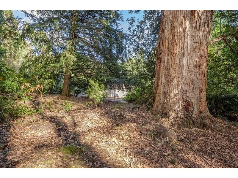 59 Costains Road, Geeveston TAS 7116