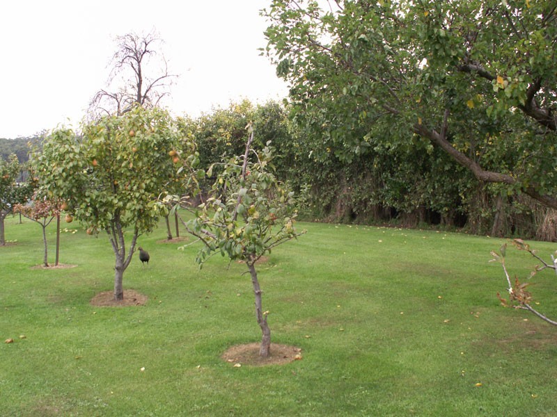 11 Weedings Way, Woodbridge TAS 7162