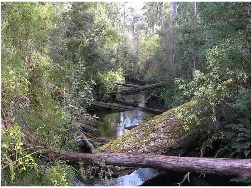 Huon Highway, Strathblane TAS 7109