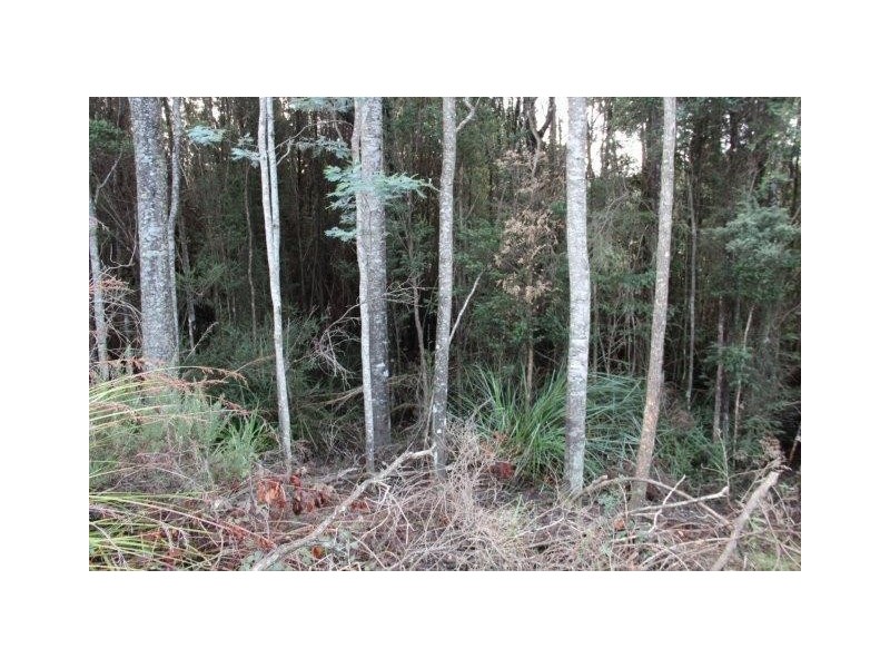 Huon Highway, Strathblane TAS 7109