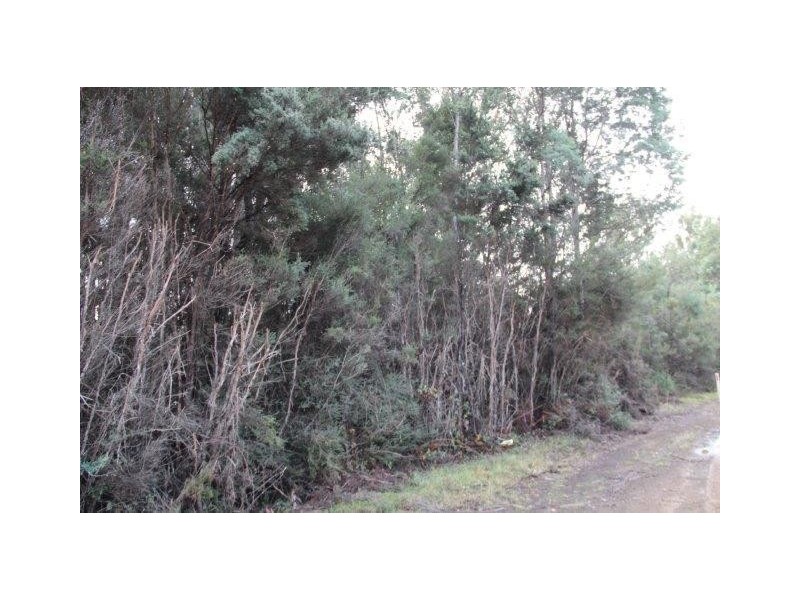 Huon Highway, Strathblane TAS 7109