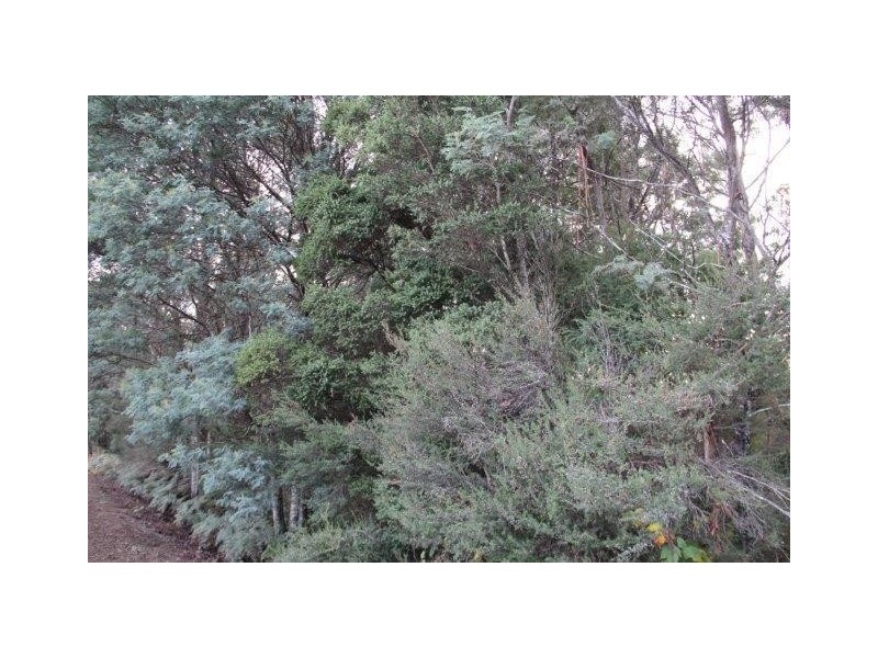 Huon Highway, Strathblane TAS 7109