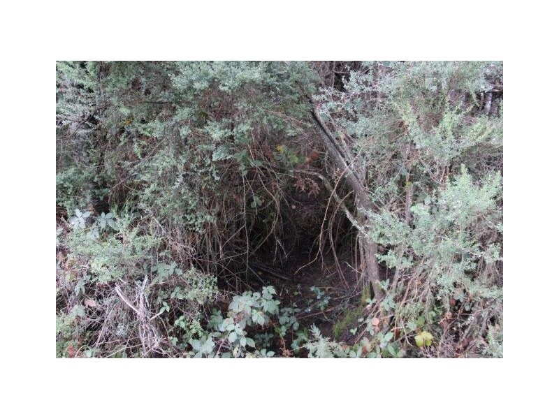 Huon Highway, Strathblane TAS 7109