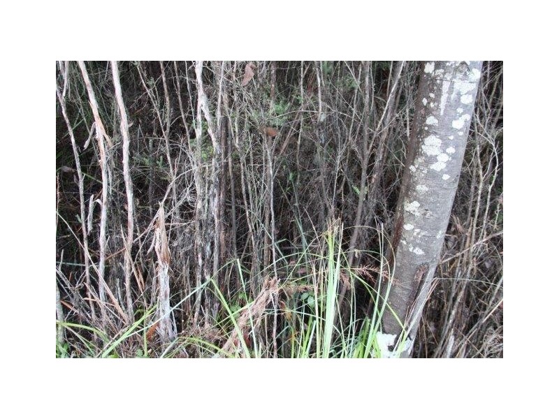 Huon Highway, Strathblane TAS 7109