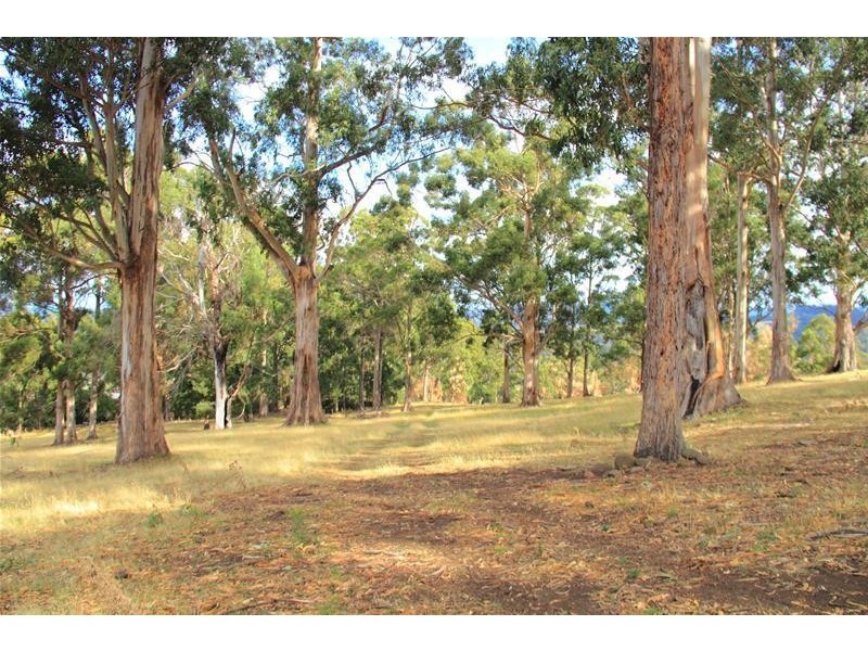 28 Flakemore Road, Franklin TAS 7113