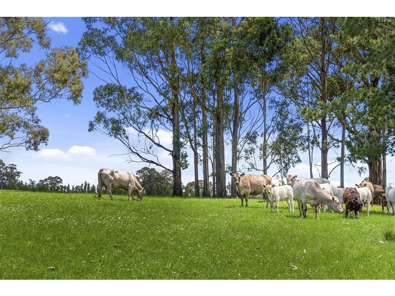 28 Flakemore Road, Franklin TAS 7113